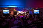 Life - Live Events Portfolio